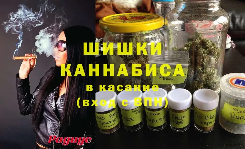 Марихуана SATIVA & INDICA  ссылка на мегу вход  Туринск  цена  